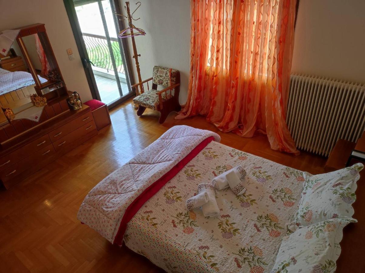 With A View Of Meteora Apartment Diava Exterior foto