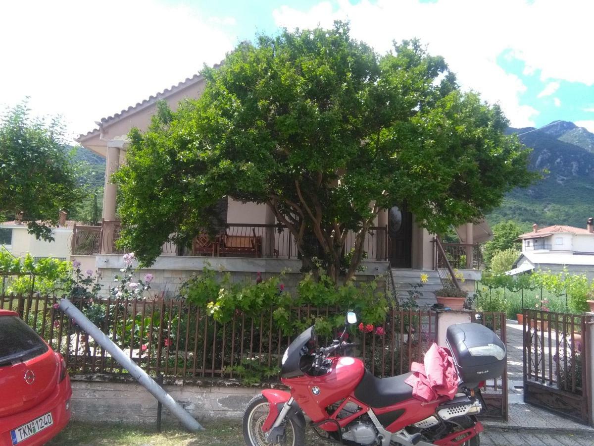 With A View Of Meteora Apartment Diava Exterior foto