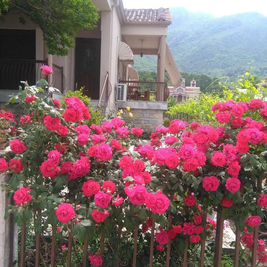 With A View Of Meteora Apartment Diava Exterior foto
