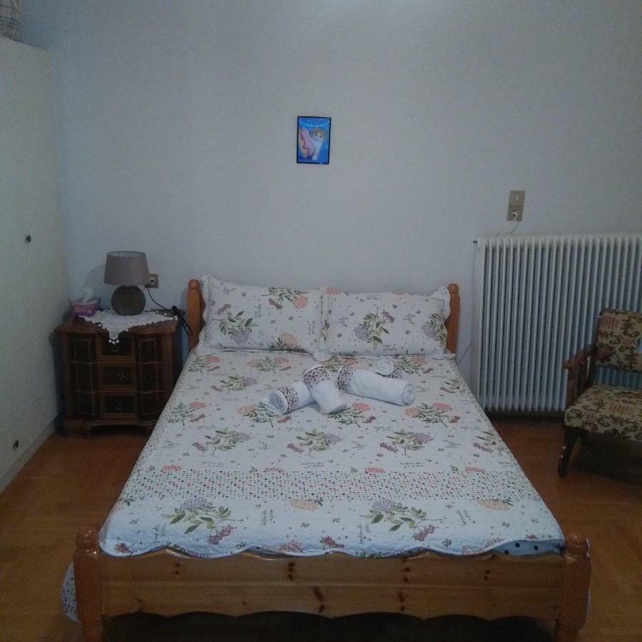 With A View Of Meteora Apartment Diava Exterior foto
