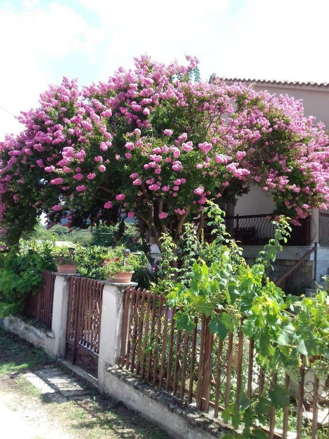 With A View Of Meteora Apartment Diava Exterior foto